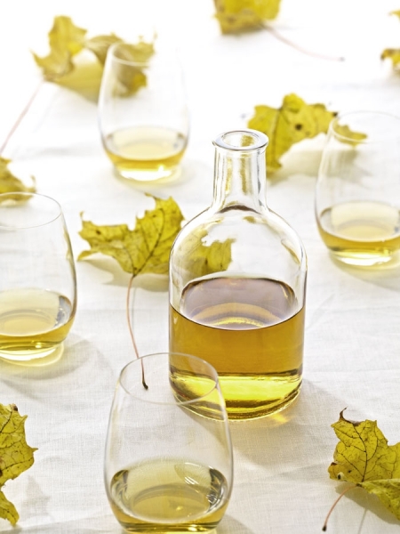 Photograph Robert Tardio Grappa Leaves on One Eyeland